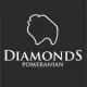 Hodowla - Diamonds Pomeranian