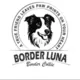 Hodowla - Border Collie Border Luna