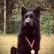 Vaneska Jendrasik