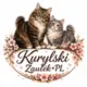 Kurylski Zaułek*PL