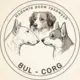 Hodowla - Bul-Corg