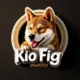 KioFig