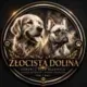 Złocista Dolina