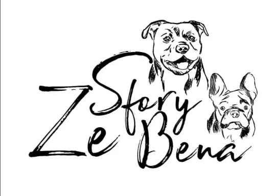 ze Sfory Bena 1