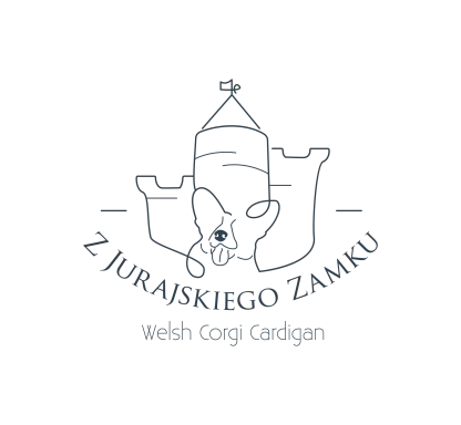 z Jurajskiego Zamku 3