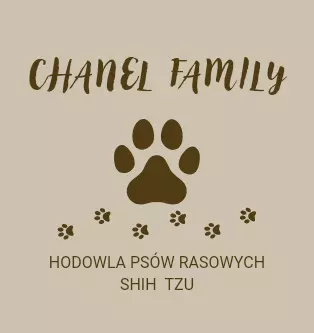 Hodowla Shih Tzu CHANEL FAMILY 1