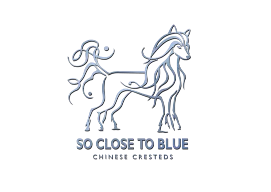 So Close To Blue 1