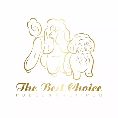 Hodowla - The Best Choice 1