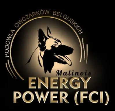 Hodowla - Energy Power (FCI) 2