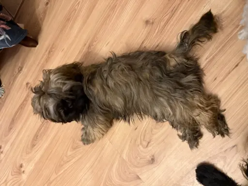 Hodowla - Żywe Srebro z Leśnego Zakątka 1