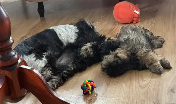 Hodowla - Żywe Srebro z Leśnego Zakątka 2