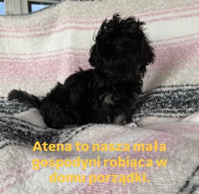 Hodowla - Żywe Srebro z Leśnego Zakątka 3