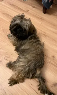 Hodowla - Żywe Srebro z Leśnego Zakątka 4