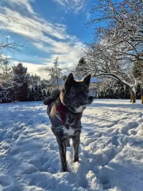 Tokyo i Jej Zgredy 10