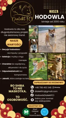 Hodowla - Dialekt FCI 1