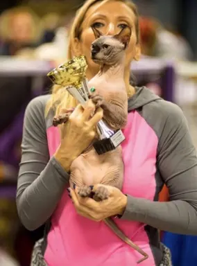 Hodowla - DeTrojanS* Pl 9