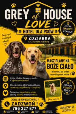 Grey of Love 2
