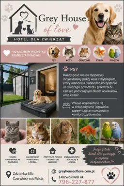 Grey of Love 3