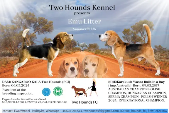 Two Hounds FCI 5