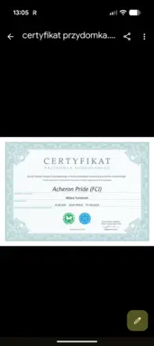 Hodowla - Acheron Pride FCI 2