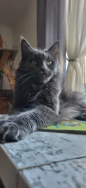 Hodowla - Deniland 4