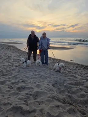 Hodowla - Angelic Puppies of The Beauty Quenn(FCI) 5