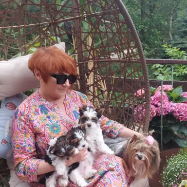 Sprzedam pięknie  szczeniaczki BIEWERKI 2