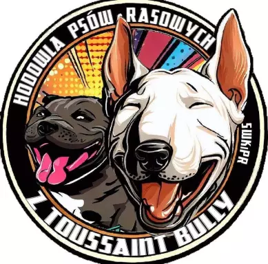 Szczeniaki suczki i psy gotowe do odbioru STAFFIK 10