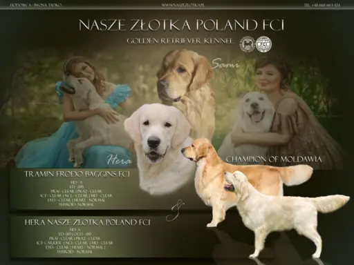 Zapowiedź miotu Październik 2023r 1