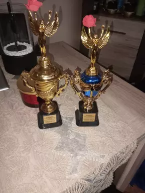 Sprzedam piękne szczenięta Golden retriever złote i biszkopt 1