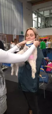 Reproduktor Maine coon 6