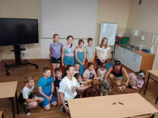 ostatnia Rhodesian Ridgeback po pracujących rodzicach 6