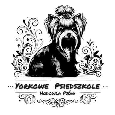 Pieski Yorkshire Terrier 4