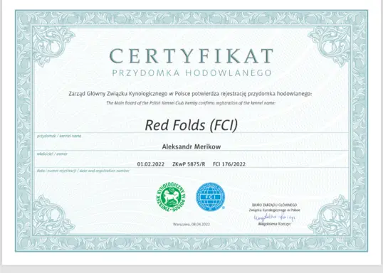 Zapraszamy do rezerwacji szczeniąt z hodowli Red Folds 2