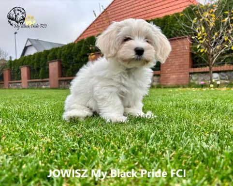 Małe futerka gotowe do odbioru - z metryką ZKwP 1