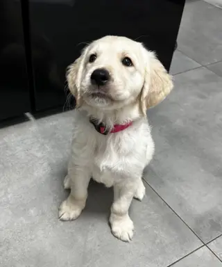 Gotowe na zmianę domu Misiaki 1