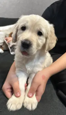 Gotowe na zmianę domu Misiaki 2