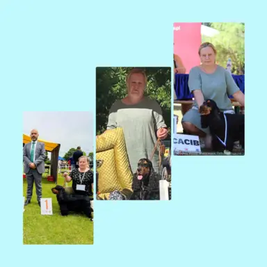 Zapowiedź miotu Cocker spaniel angielski 5