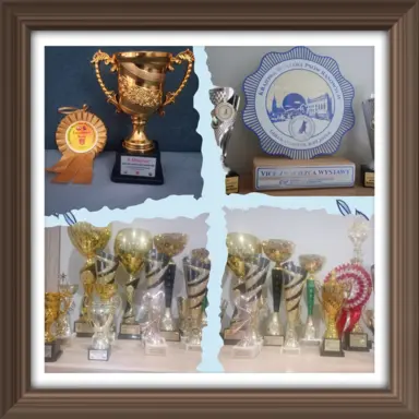 Zapowiedź miotu Cocker spaniel angielski 8