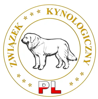 Staffordshire Bull Terrier, Stafik, Staffik 9