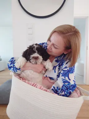 Szczenię/suczka LAGOTTO ROMAGNOLO - Ur. 19.03.2025 R. 2