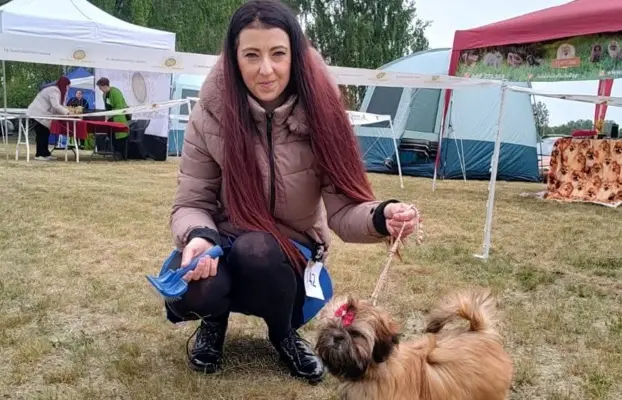 Shih Tzu dziewczynka suczka szczeniak 4