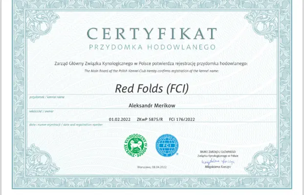 Zapraszamy do rezerwacji szczeniąt z hodowli Red Folds 2