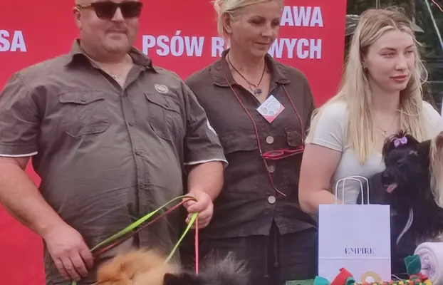 Wzorcowe Małe Szpice Niemieckie exterrier rodzice FCI 10