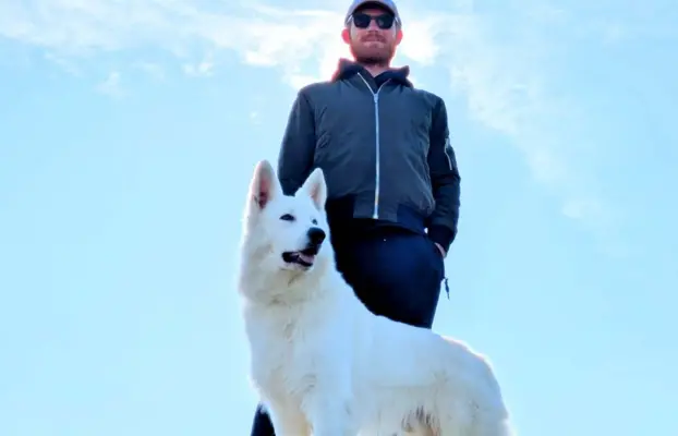 Biały Owczarek Szwajcarski –linie Premium, TOP pochodzenie-r 1