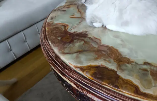 Ragdolle sama słodycz tylko tu 7