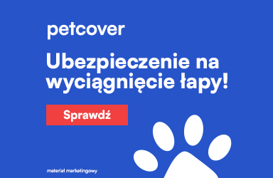 Ubezpieczenie psa i kota